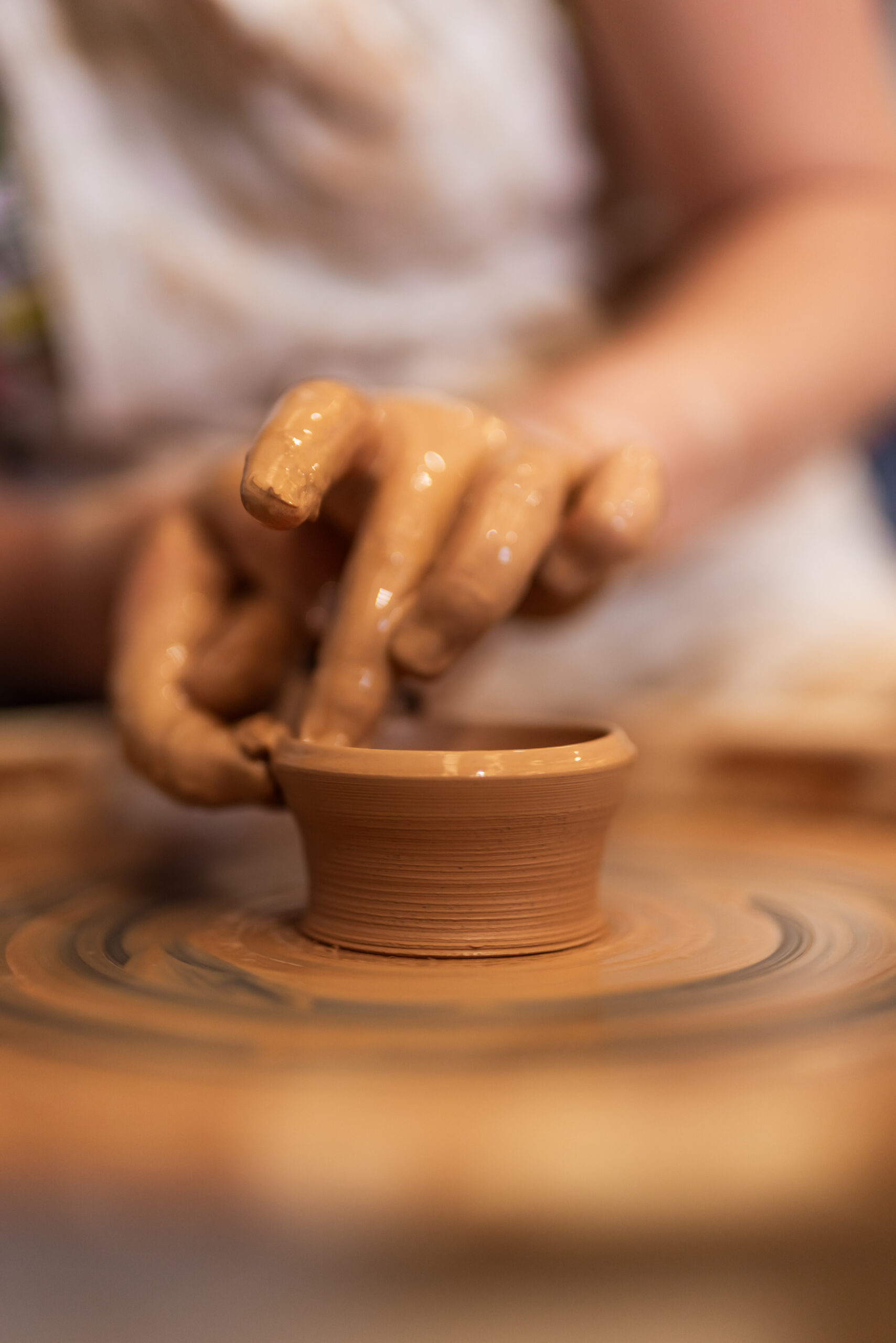 Culture Bank South Coast